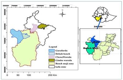 Work-related disease symptoms and occupational injuries among coffee processing industry workers in Bench-Sheko and Kaffa Zones Southwest, Ethiopia: A mixed-method study